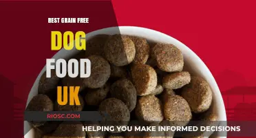 Top Grain-Free Dog Food Options in the UK: Healthy Choices for Your Canine Companion