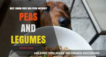 Top Grain-Free Dog Food Options: Pea and Legume-Free Recipes for Optimal Canine Health