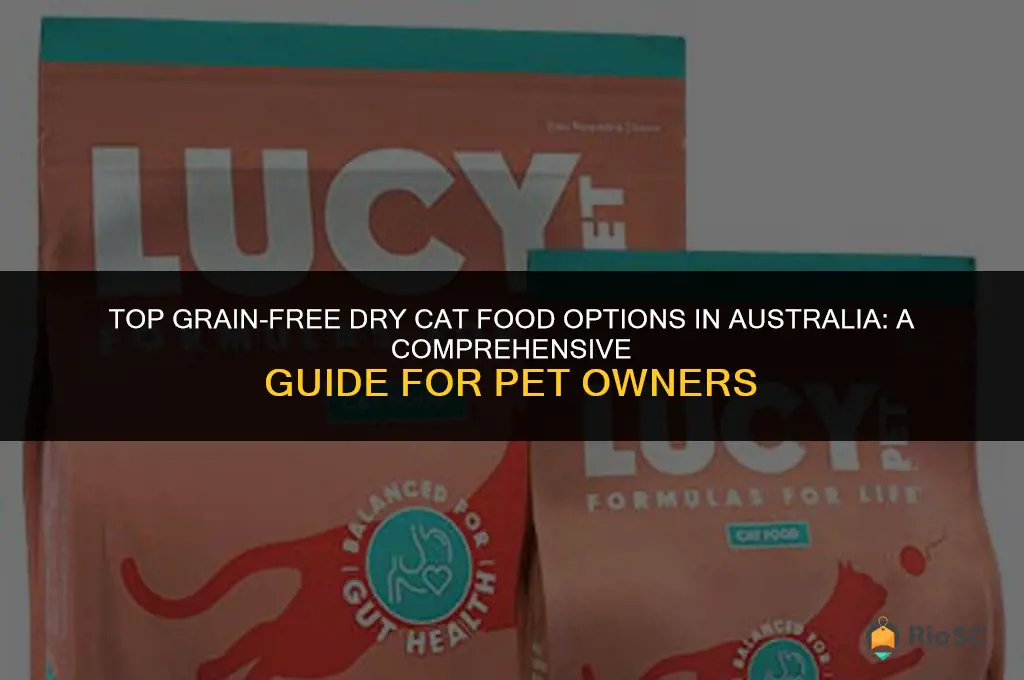 best grain free dry cat food australia
