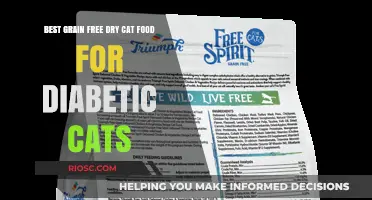Top Grain-Free Dry Cat Food Options for Diabetic Cats: A Comprehensive Guide