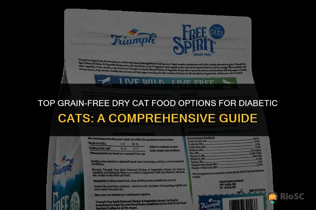 best grain free dry cat food for diabetic cats