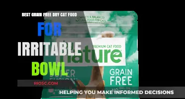 Top Picks for Grain-Free Dry Cat Food to Soothe Irritable Bowels