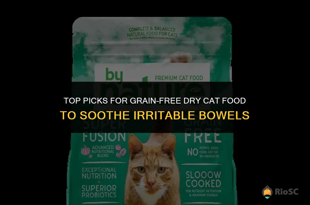 best grain free dry cat food for irritable bowl
