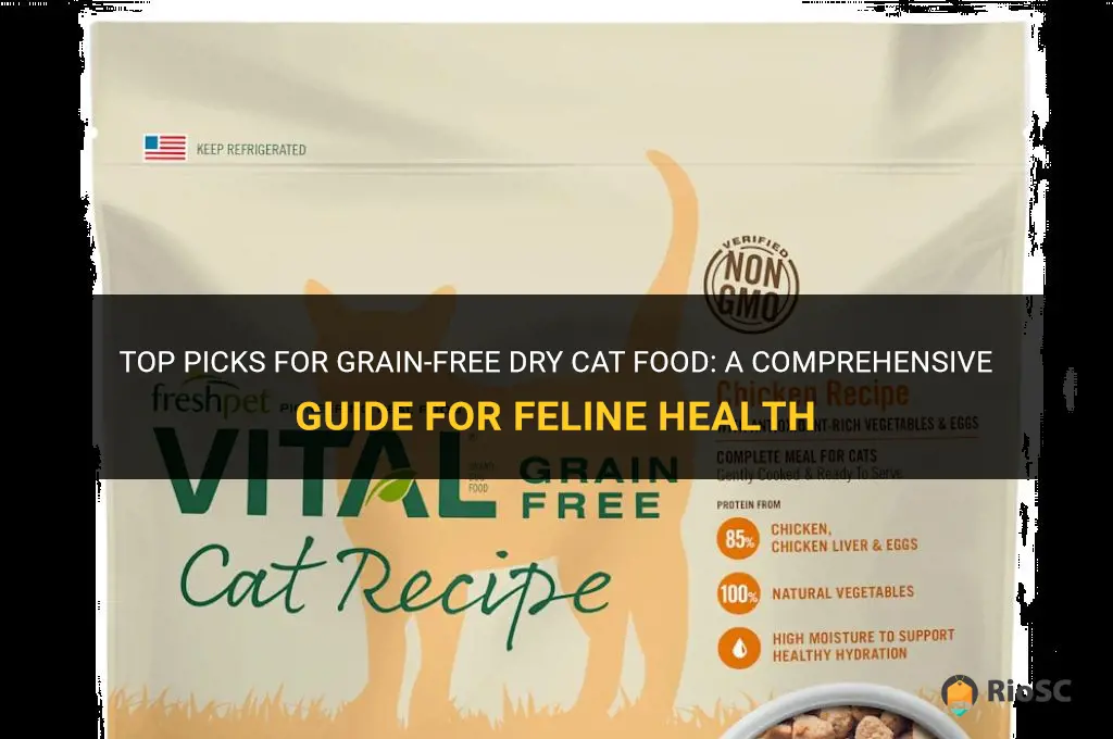 best grain free dry cat food
