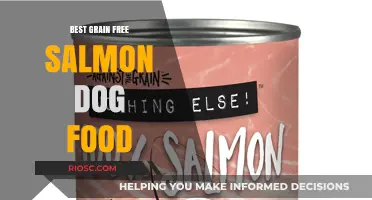 Top Grain-Free Salmon Dog Food Options for Optimal Canine Health and Nutrition