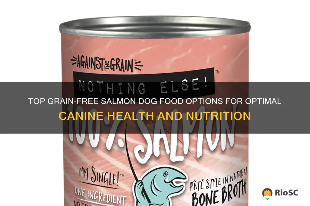 best grain free salmon dog food