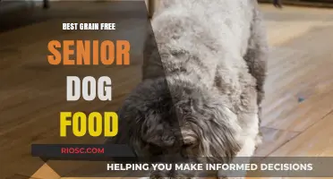 Top Grain-Free Senior Dog Food Options for Optimal Health and Nutrition