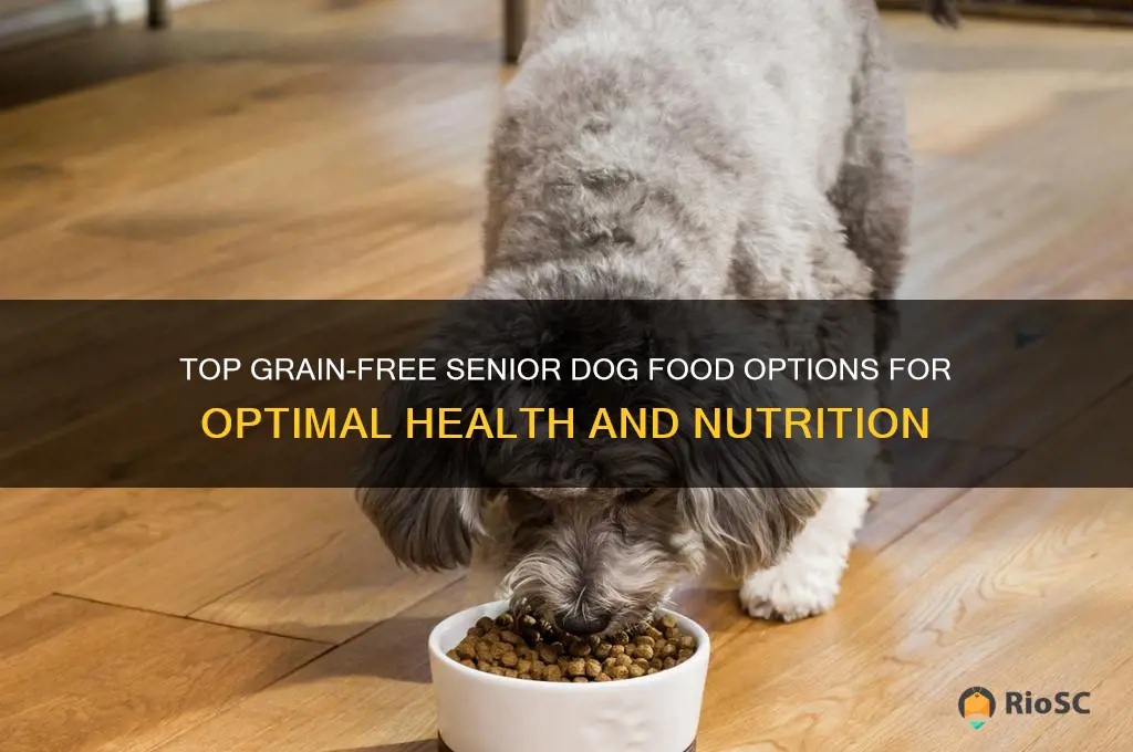 best grain free senior dog food