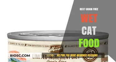 Top Picks for Grain-Free Wet Cat Food: A Comprehensive Guide for Feline Nutrition