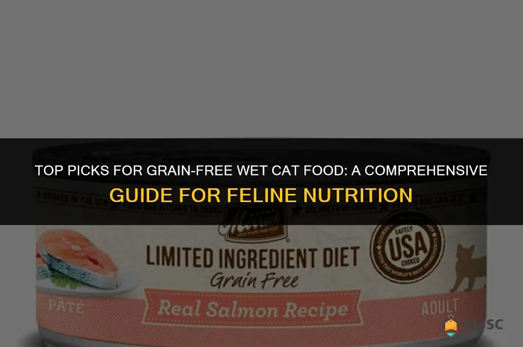 best grain free wet cat food
