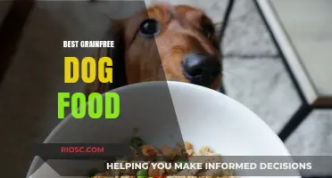 Top Grain-Free Dog Food Options for Optimal Canine Health and Nutrition