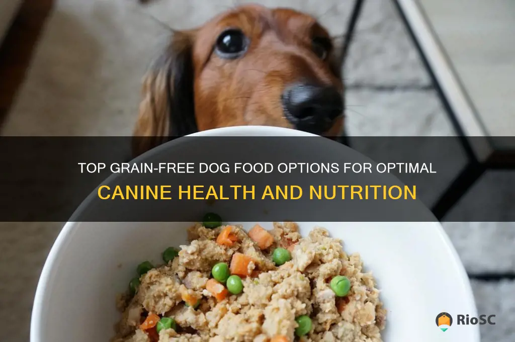 best grainfree dog food