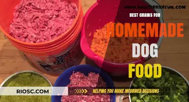 Wholesome Grains for Homemade Dog Food: A Guide to Nutritious Choices