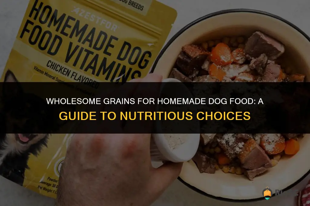 best grains for homemade dog food