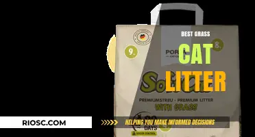 Eco-Friendly and Odor-Free: Discover the Best Grass Cat Litter for Your Feline Friend