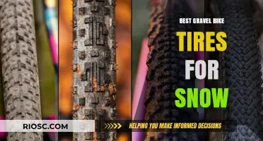 Conquering Winter Trails: Top Gravel Bike Tires for Snow Riding