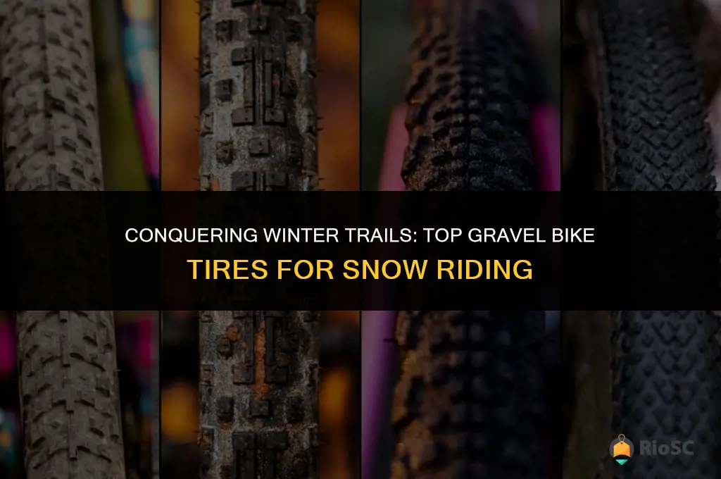 best gravel bike tires for snow