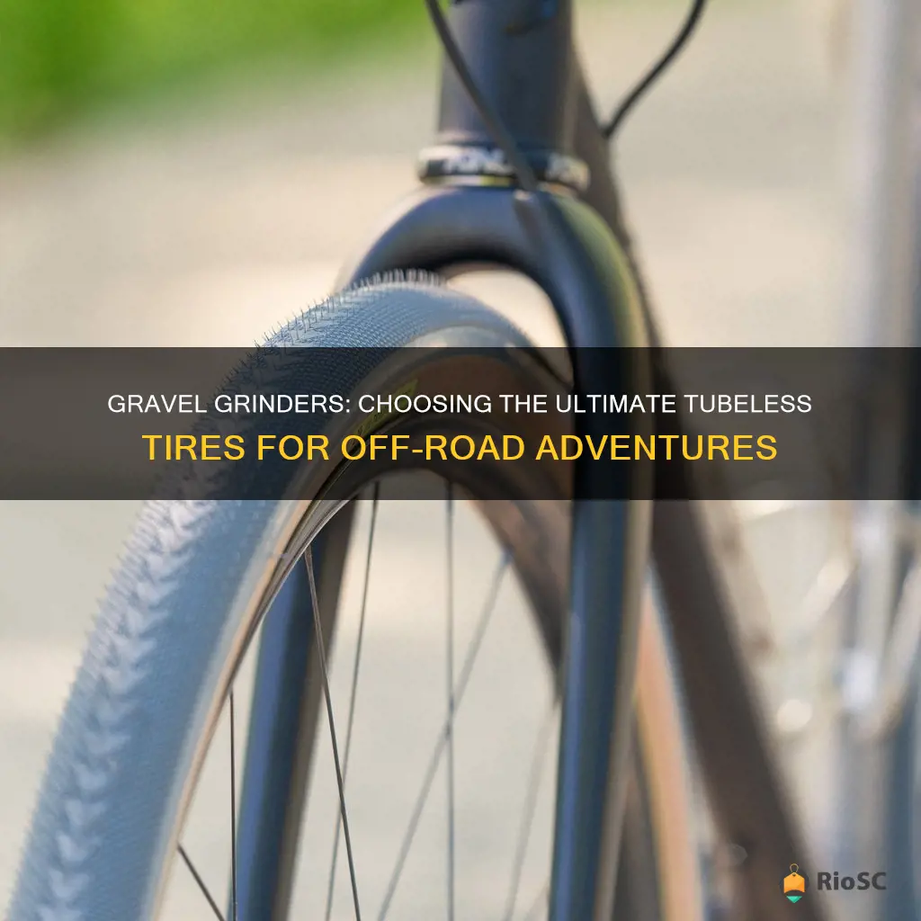 best gravel bike tubeless tires