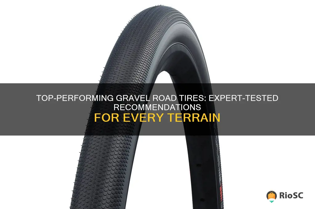 best gravel road tires tested