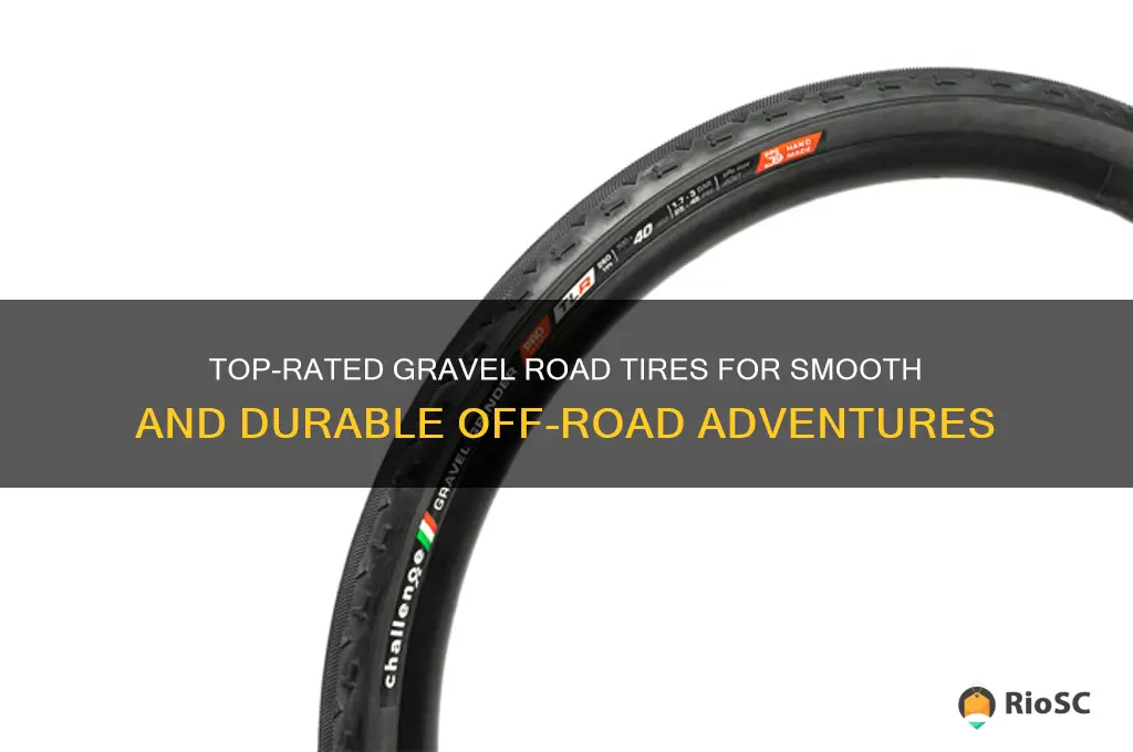 best gravel road tires