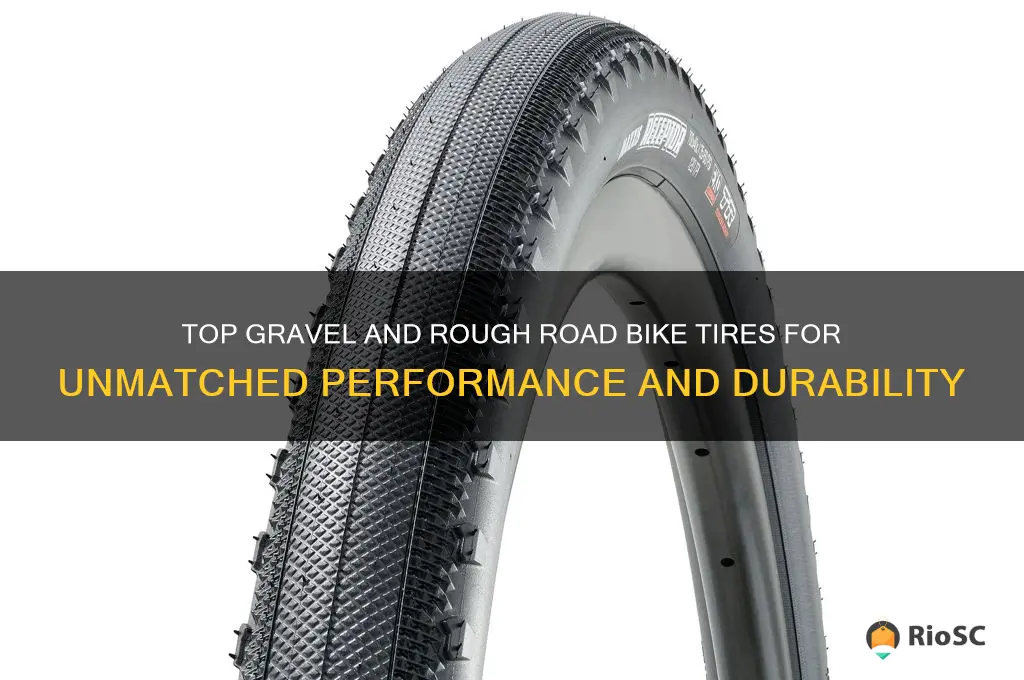 Top Gravel And Rough Road Bike Tires For Unmatched Performance Photo Inspiration