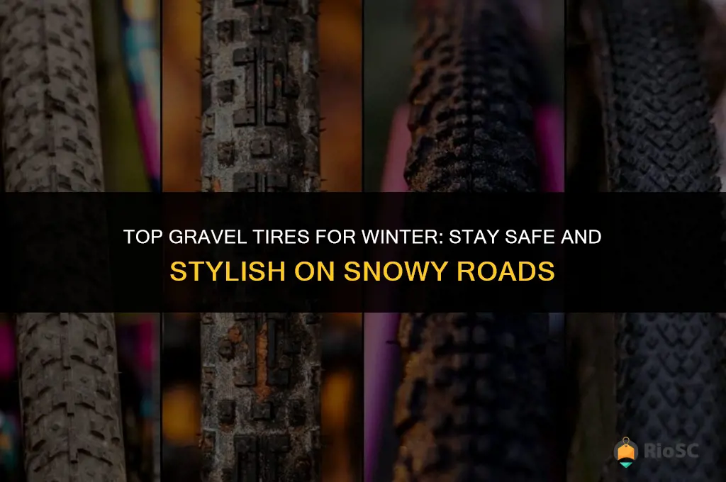 best gravel tires for winter