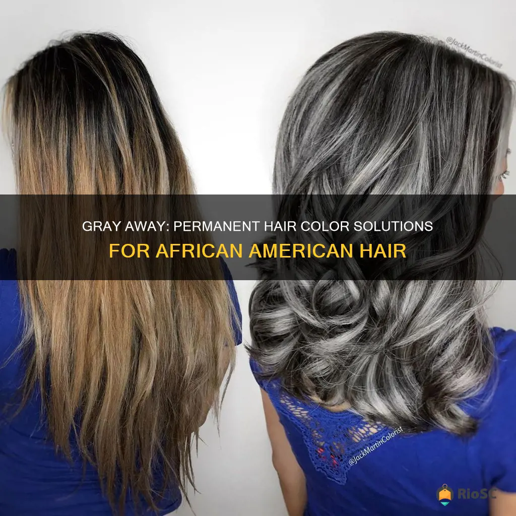 best gray coverage for african american hair