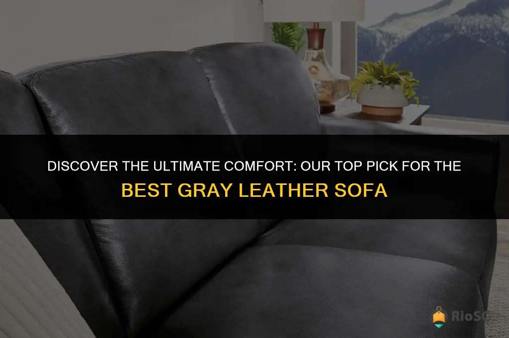 best gray leather sofa