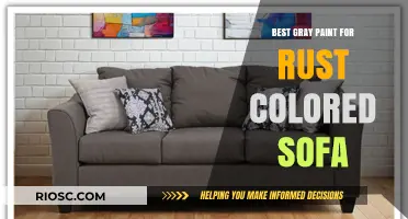 Revamp Your Rust-Colored Sofa: Discover the Perfect Gray Paint Match