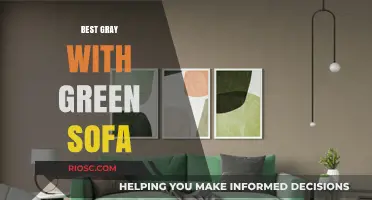 Elevate Your Living Space: The Perfect Gray and Green Sofa Combo for Modern Interiors