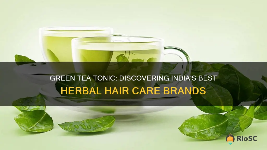 best green tea brands for hair in india