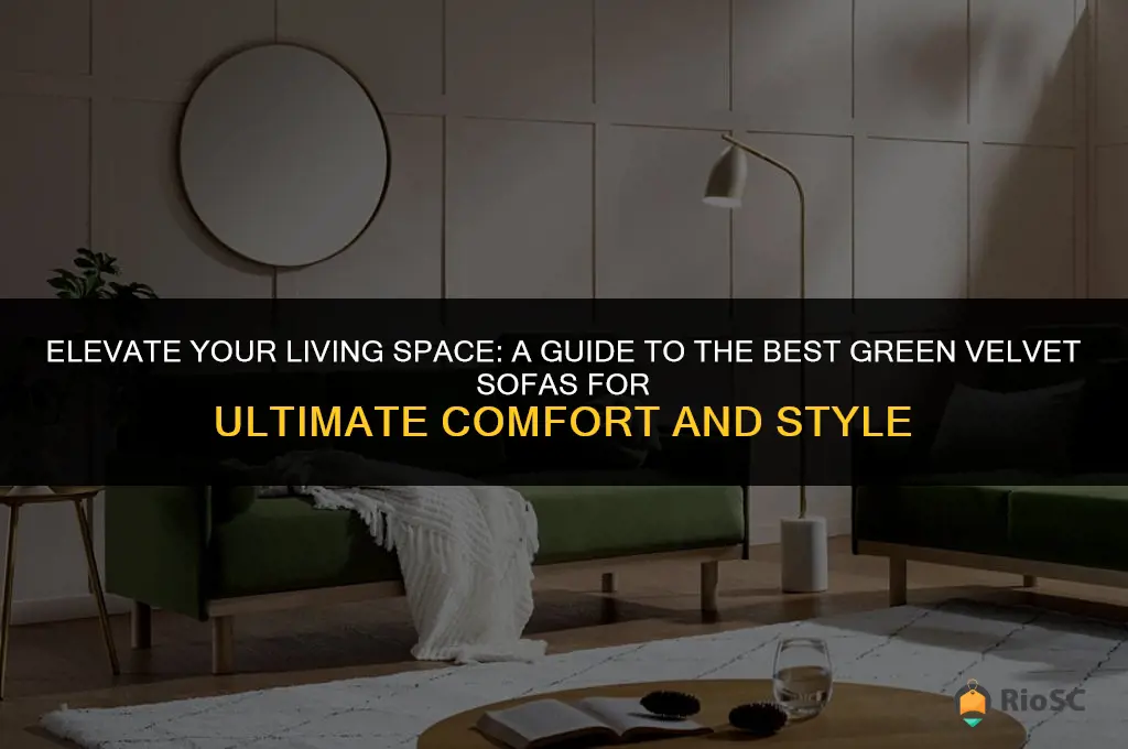 best green velvet sofas