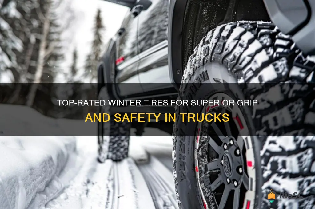 best grip truck winter tires