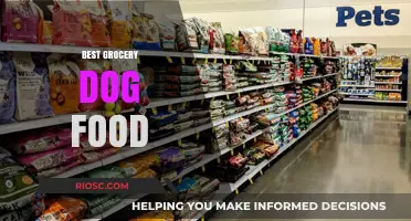 Top Picks for Your Furry Friend: The Best Grocery Dog Food Options