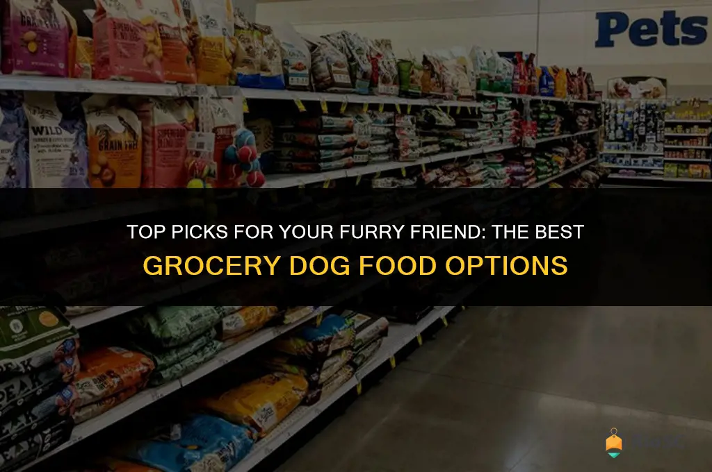 best grocery dog food
