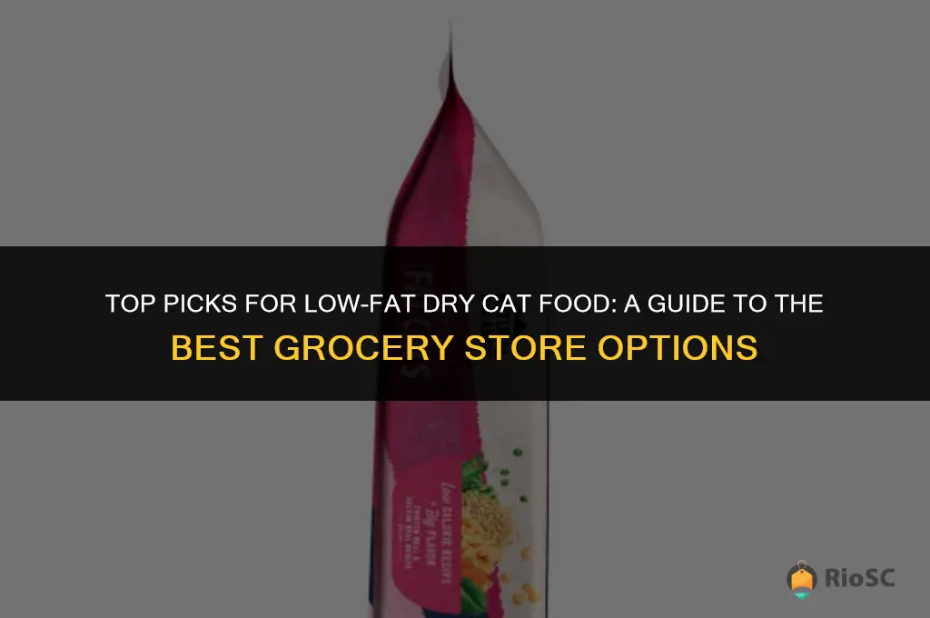 best grocery store low fat dry cat food