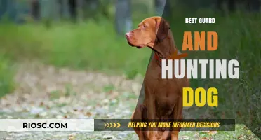 Top Guard and Hunting Dogs: Breeds That Excel in Protection and Pursuit