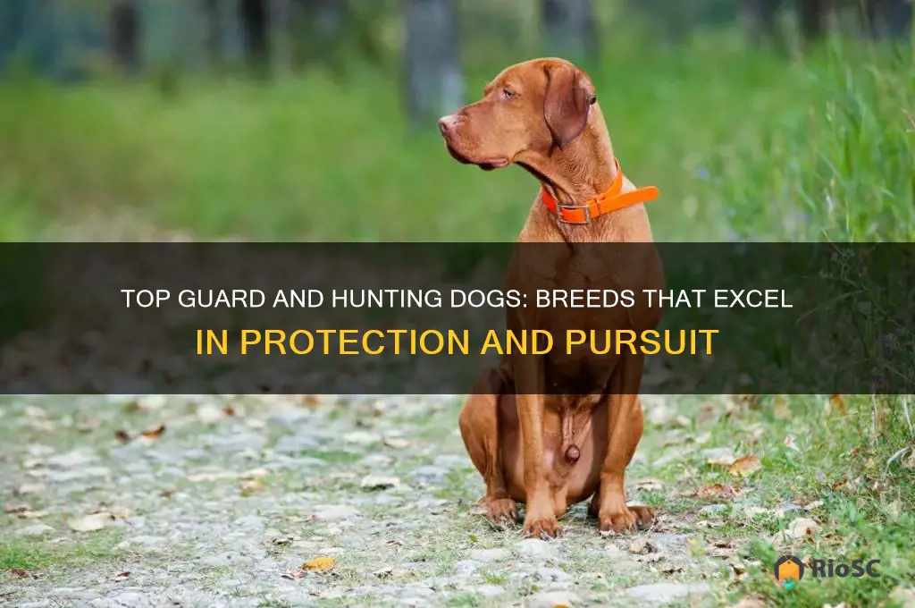 best guard and hunting dog