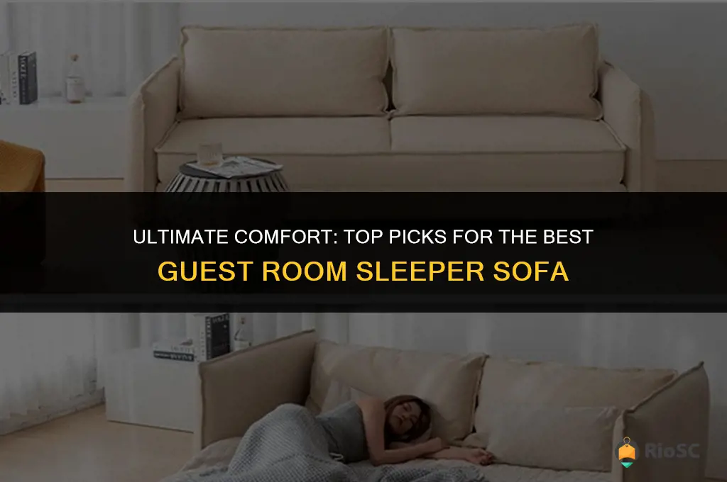 best guest room sleeper sofa