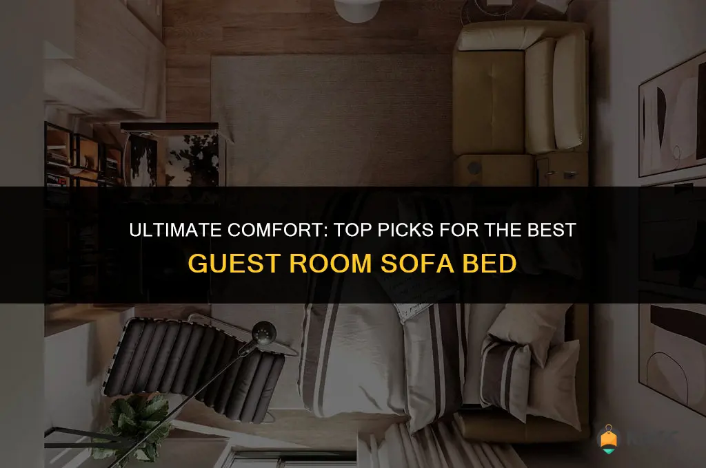 best guest room sofa bed