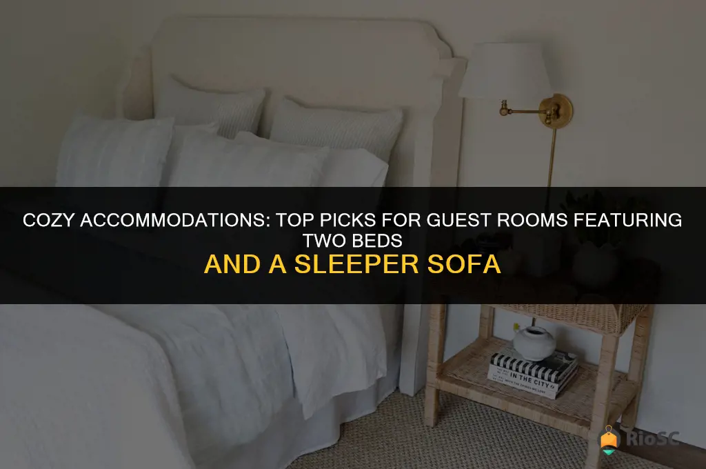 best guest rooms with 2 beds and sleeper sofa