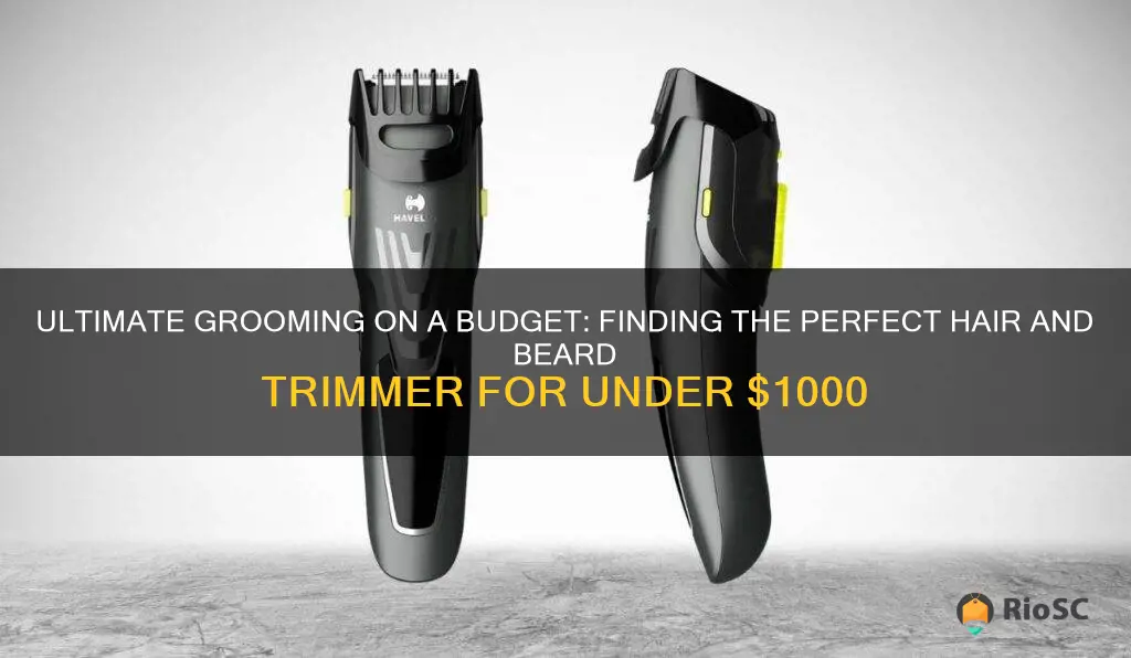 best hair and beard trimmer under 1000