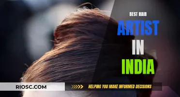 India's Masterful Hair Artists: Unveiling the Creative Best