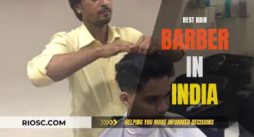 India's Top Hair Artists: Masters of the Craft