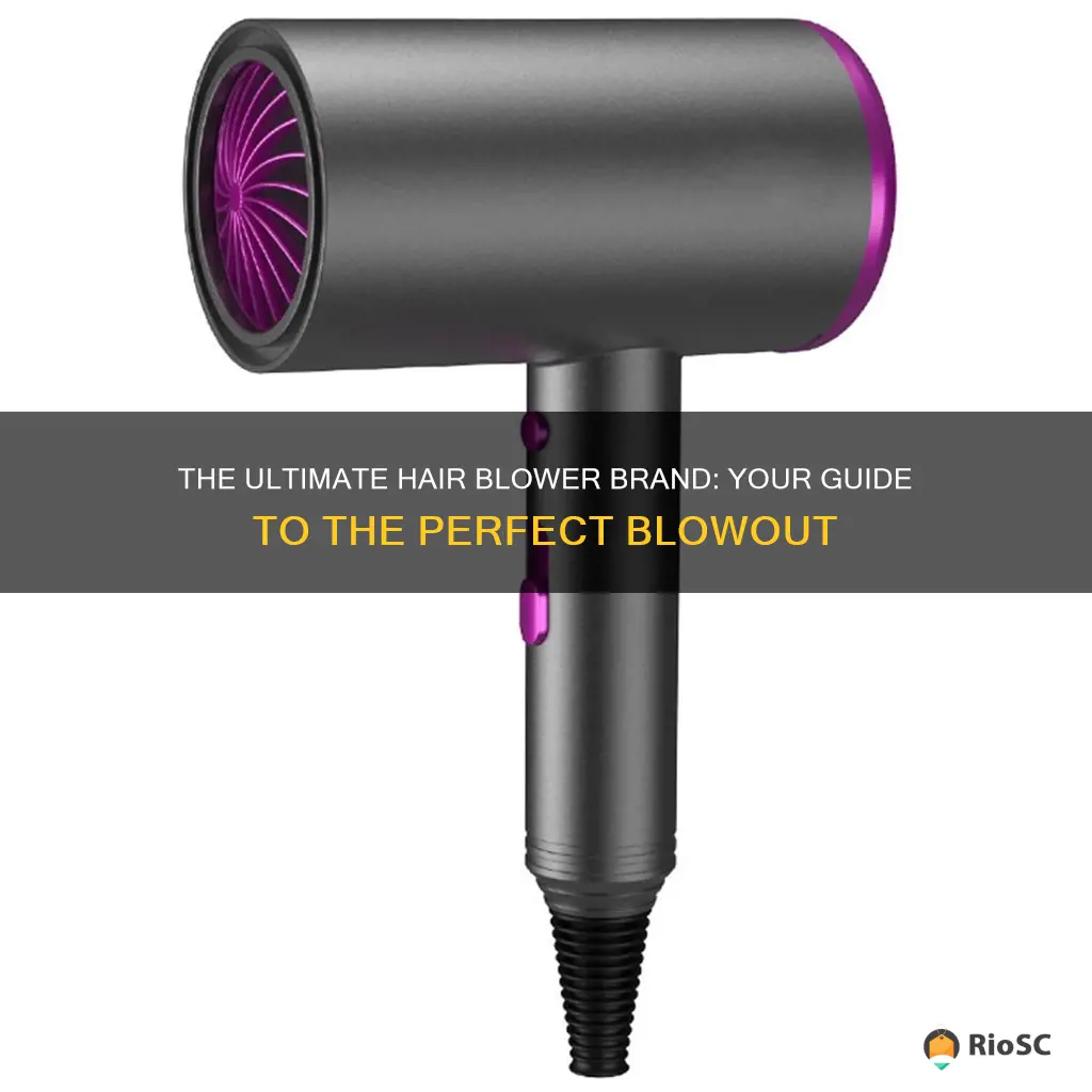 best hair blower brand