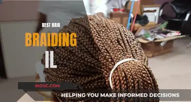 Expert Hair Braiding in Illinois: Uncover the Ultimate Styles