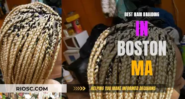 Boston's Best Kept Secret: Masterful Hair Braiding