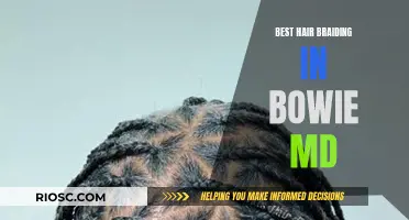 Expert Hair Braiding in Bowie: Uncover the Ultimate Styles