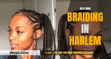 Harlem's Top Braiding Artists: A Guide to the Best Hair Braiding in Town