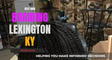 Lexington Locs: The Ultimate Guide to Hair Braiding in the Bluegrass State